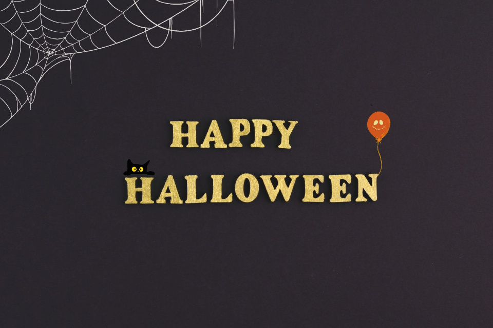 【ハロウィン限定ディナー】