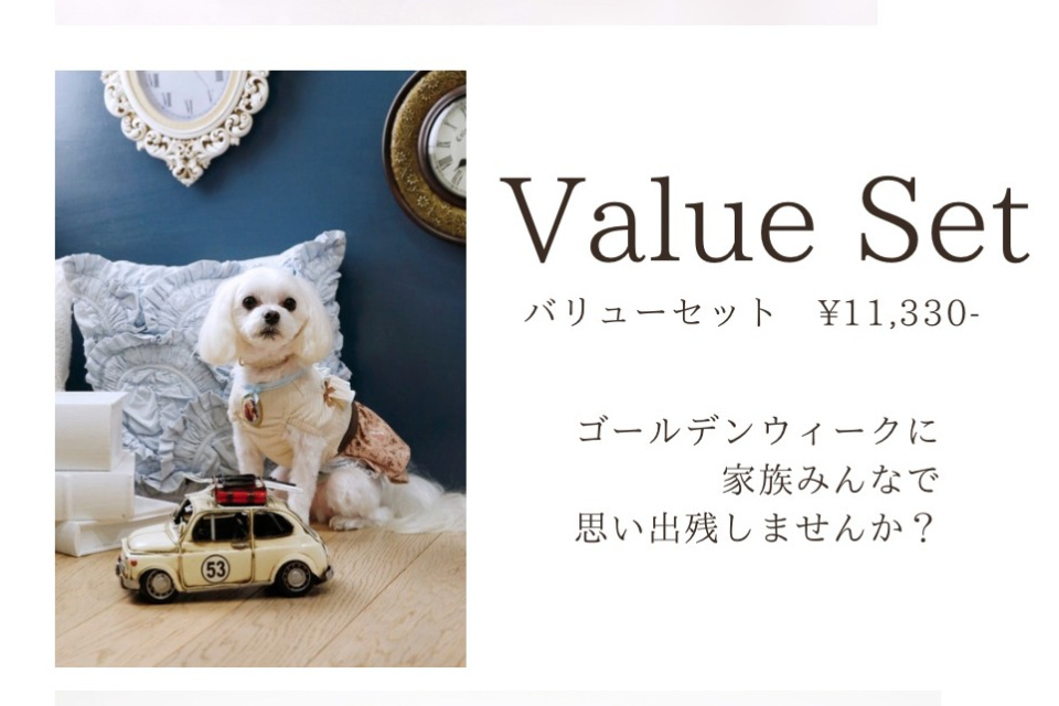 ゴールデンウイークに家族写真はいかがでしょうか？