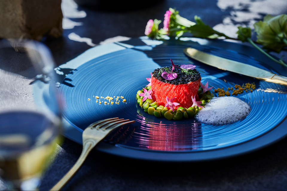 2026年6月7日　旬の食材を愉しむ贅沢ディナー